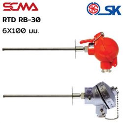 RB-30 6X100mm PT-100 SK อาร์ทีดี (RTD) ซื้อ