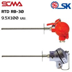 RB-30 9.5X100mm PT-100 SK อาร์ทีดี (RTD)
