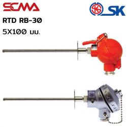 RB-30 5X100mm PT-100 SK อาร์ทีดี (RTD) SCMA