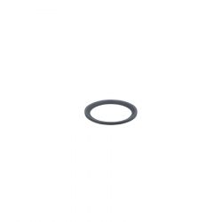 E30513 \ efector 500 \ Pressure sensors \ SEAL RING FFKM G1/2 \ DE