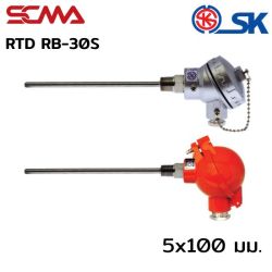 RB-30S 5X100mm SK อาร์ทีดี (RTD) เกลียว 3/8" NPT PT-100