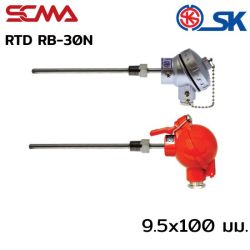 RB-30N 9.5X100mm SK อาร์ทีดี (RTD) เกลียว 3/8" NPT PT-100