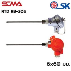 RB-30S 6X60mm SK อาร์ทีดี (RTD) เกลียว 3/8" NPT PT-100