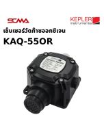 KAQ-55OR KEPLER O2 固定气体检测仪