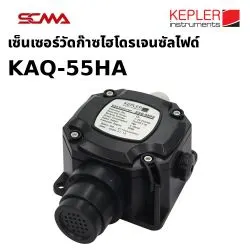 KAQ-55HA KEPLER Fixed Gas Detector H2S 0C~50C 20A/250V JB-30 4X100 mm Type K