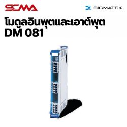 DM 081 S-DIAS Digital Mix Module SIGMATEK