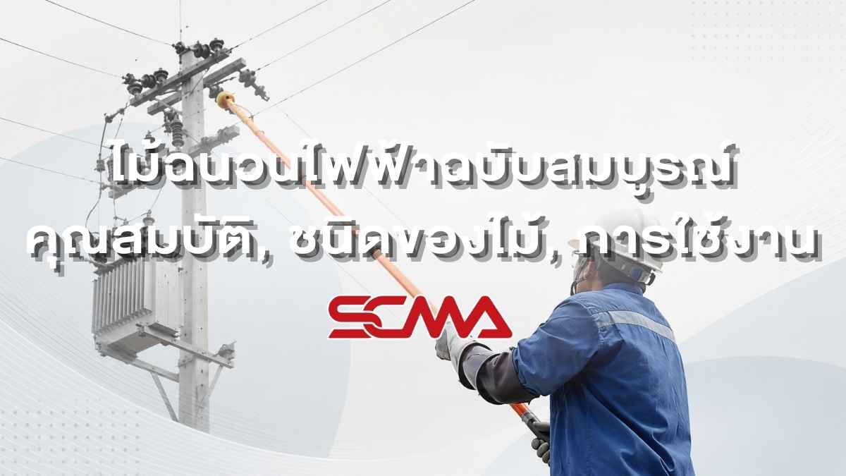 ไม้ฉนวนไฟฟ้าฉบับสมบูรณ์: คุณสมบัติ, ชนิดของไม้, การใช้งาน