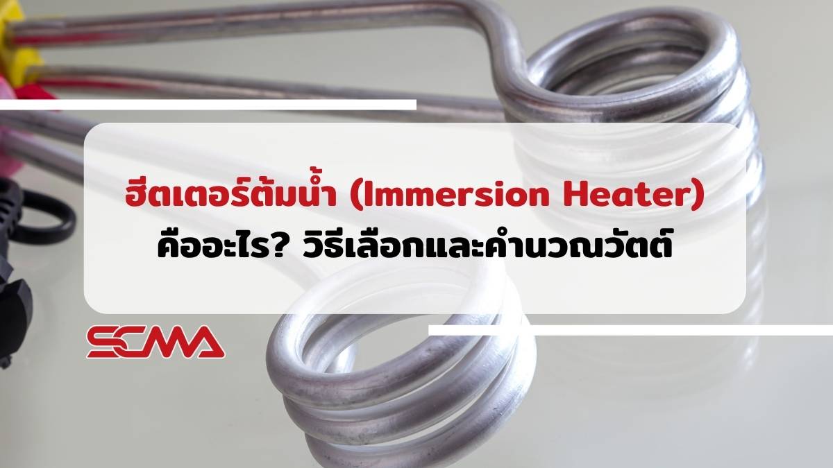 ฮีตเตอร์ต้มน้ำ Immersion Heater