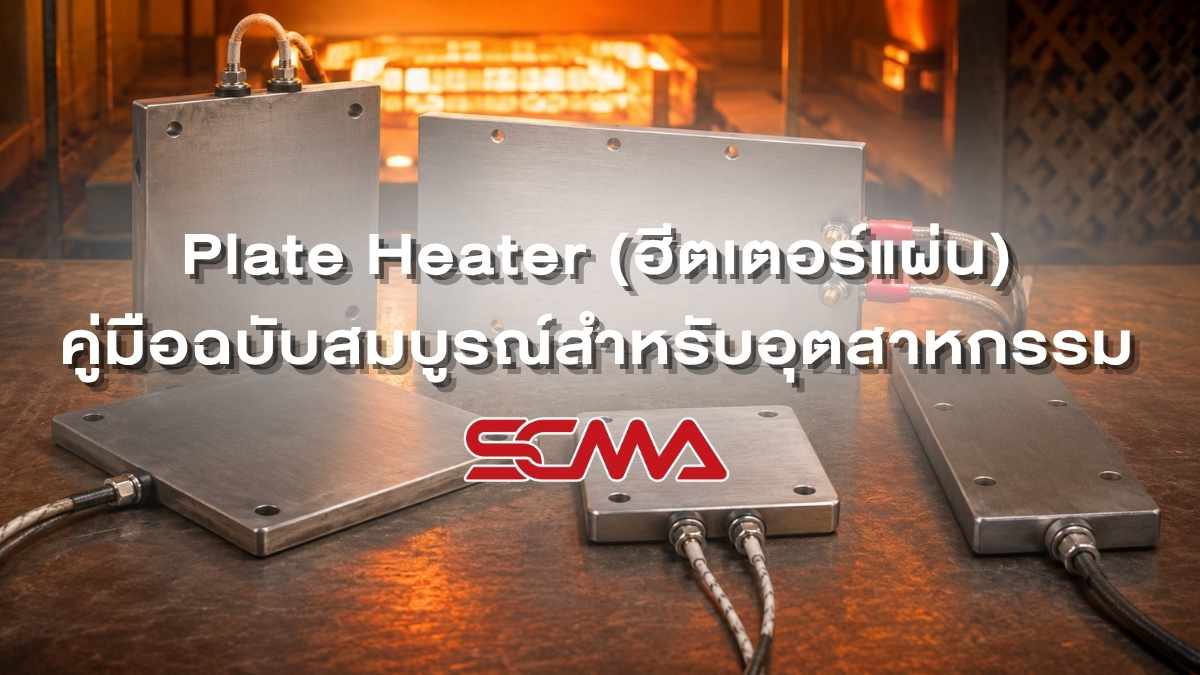 Plate Heater (ฮีตเตอร์แผ่น) คู่มือฉบับสมบูรณ์สำหรับอุตสาหกรรม