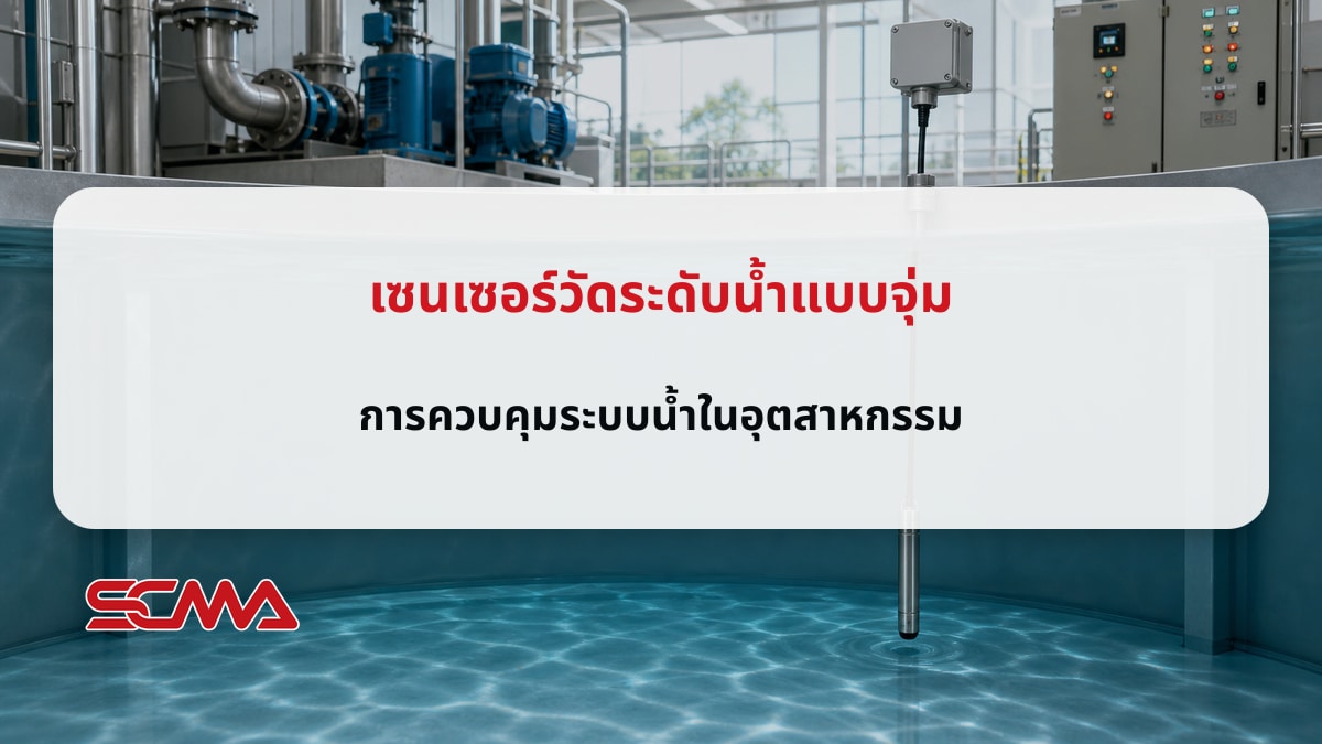 เซนเซอร์วัดระดับน้ำแบบจุ่ม การควบคุมระบบน้ำในอุตสาหกรรม