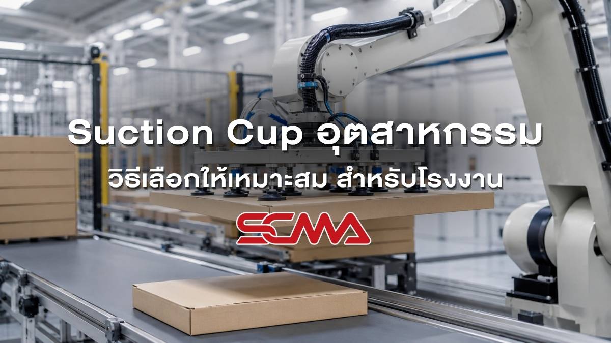 Suction Cup อุตสาหกรรม วิธีเลือกให้เหมาะสม สำหรับโรงงาน