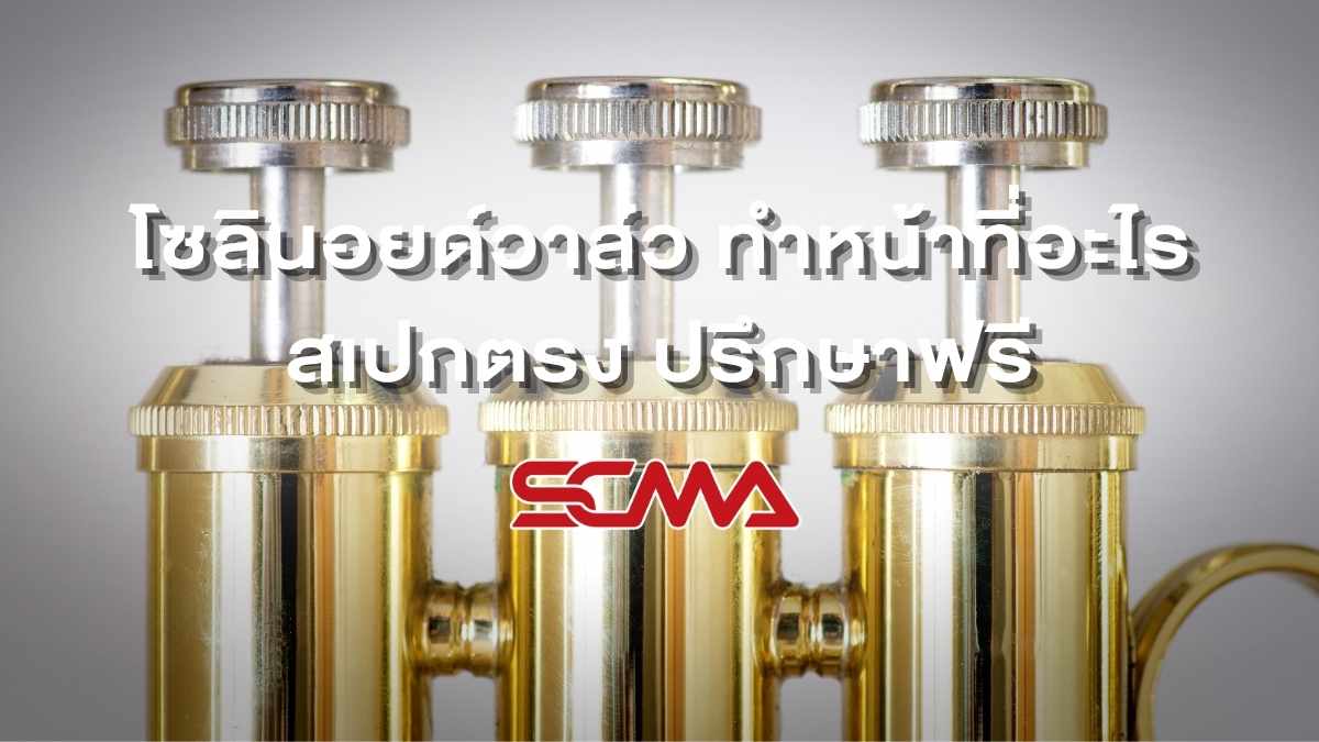 โซลินอยด์วาล์วและวาล์วควบคุมของไหล