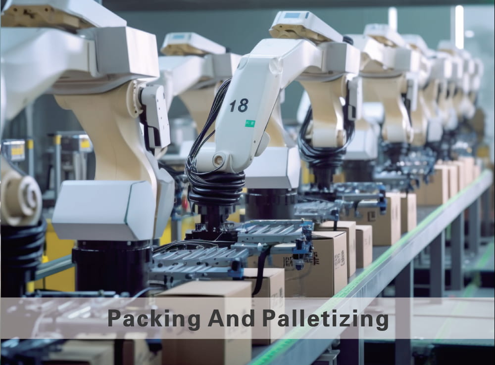 E.MC Pneumatic EndLinePacking SCMA