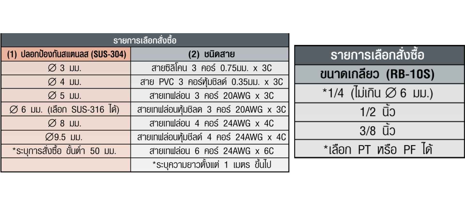 RB-10 3x100mm SK อาร์ทีดี (RTD) สายซิลิโคน 3 คอร์ ยาว 3M PT-100 ขนาด
