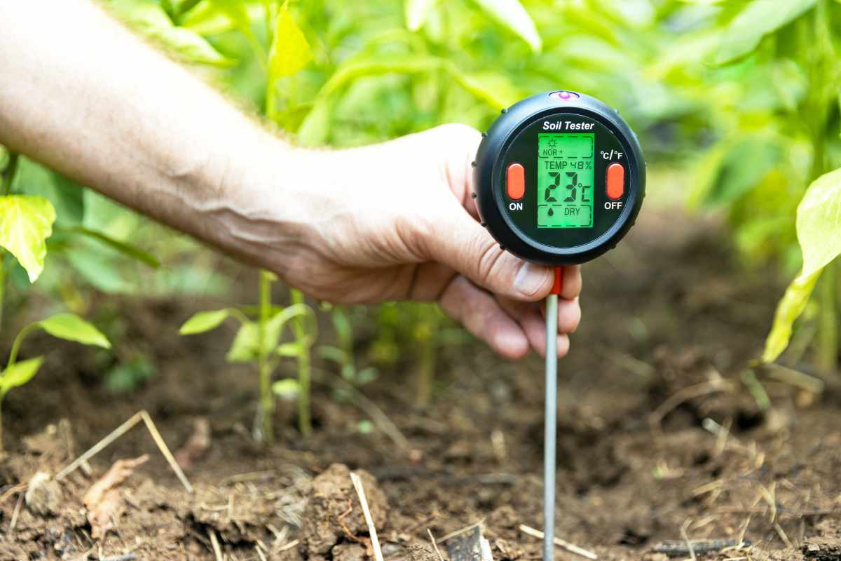 Moisture Analyzer SCMA